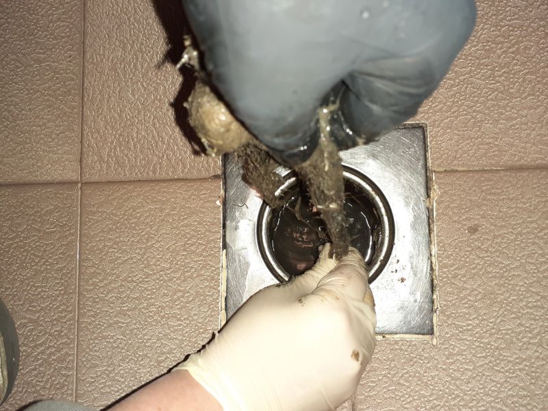 Shower Drain Clearing in Columbus, OH